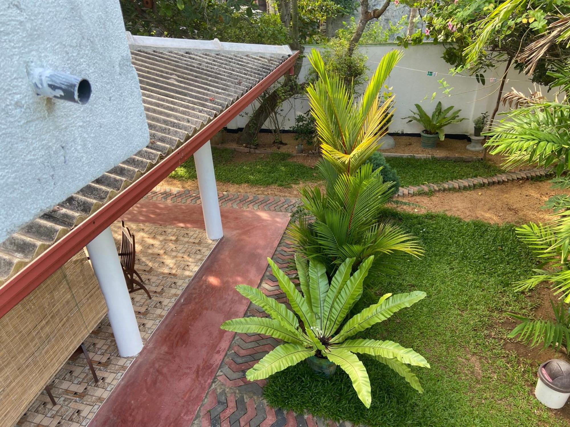 Mirissa Gold Rush Villa Exterior photo